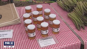 Chicago's Green City Market reopens