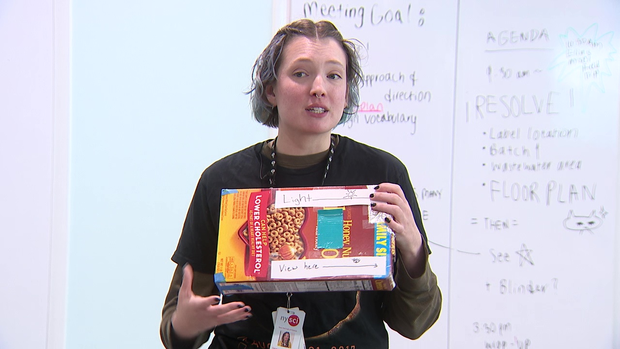 DIY Eclipse Viewer: Make a Pinhole projector