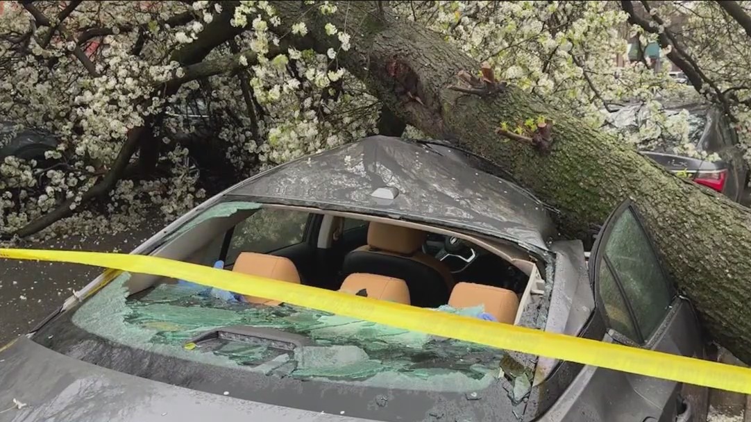 NYC area storms bring heavy rain, high winds