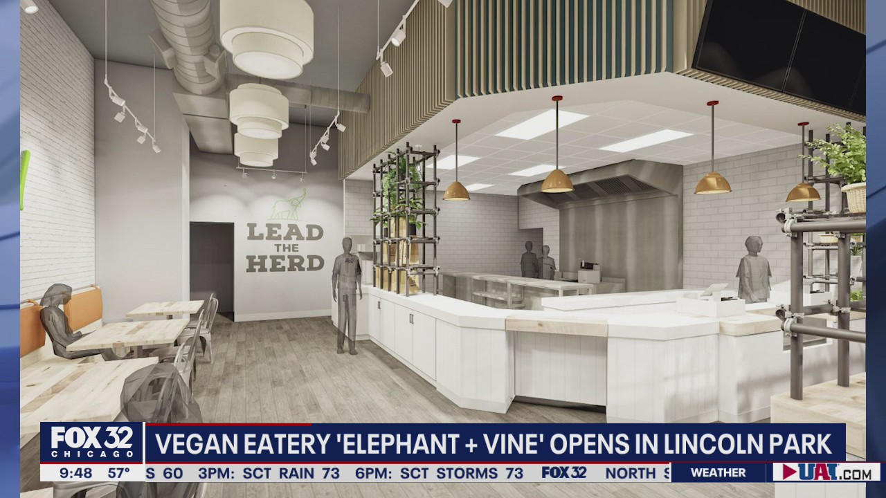Vegan staple 'Elephant + Vine' opens its doors in Lincoln Park