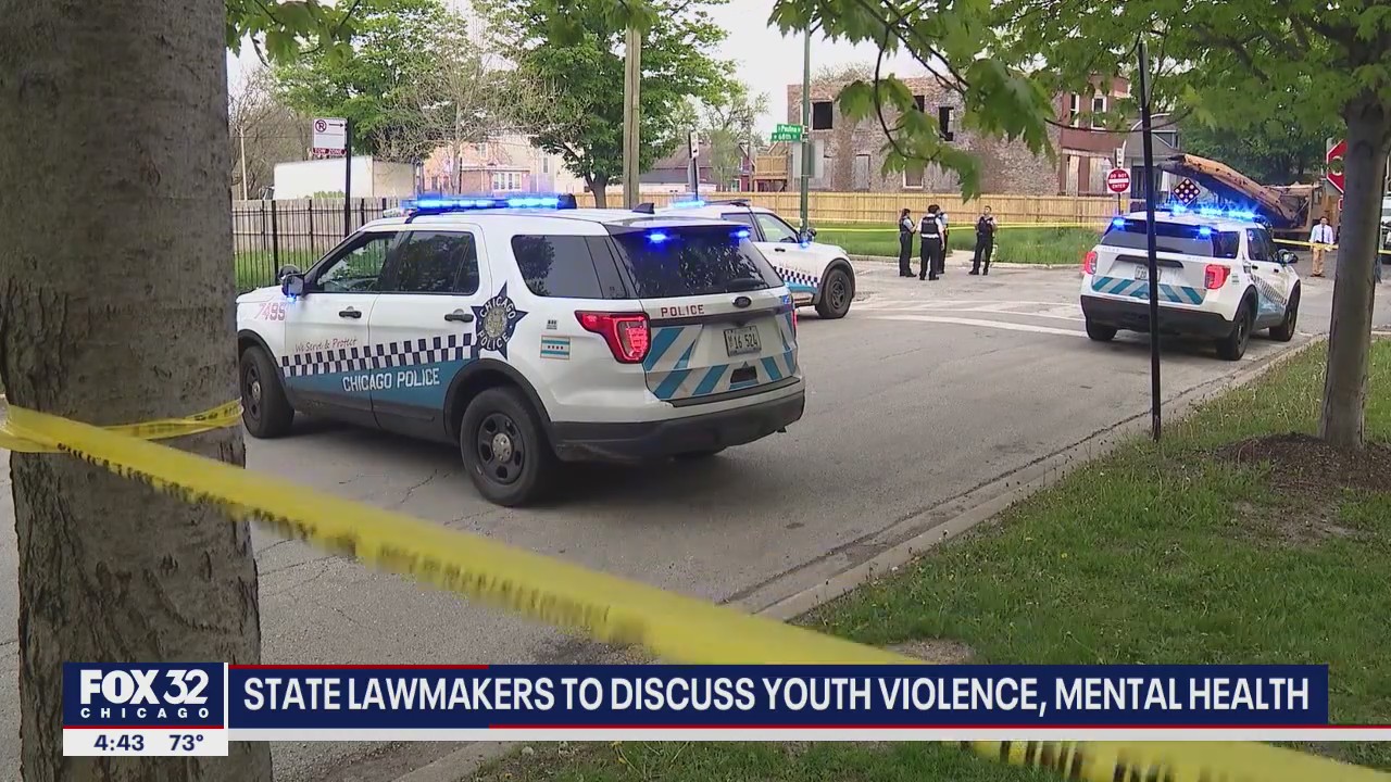 Statistics show guns are leading cause of death of Illinois children