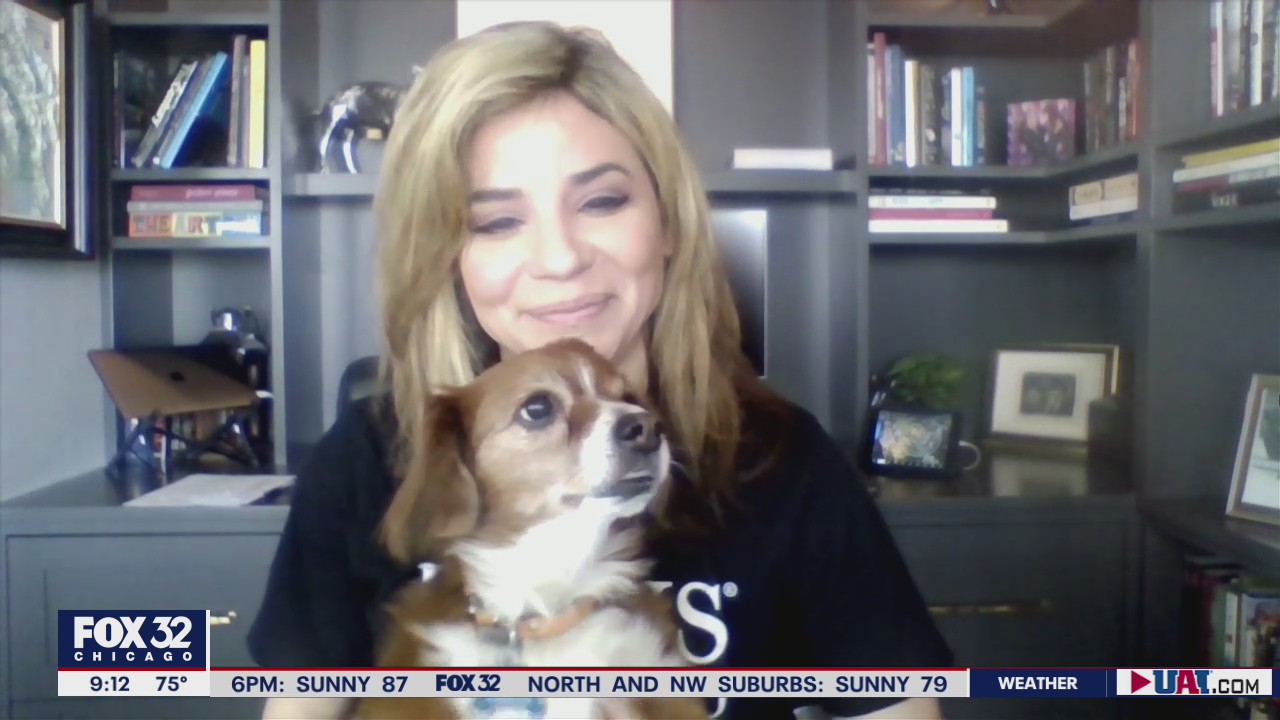 PAWS Chicago hosting 'Angels with Tails' Gold Coast adoption event