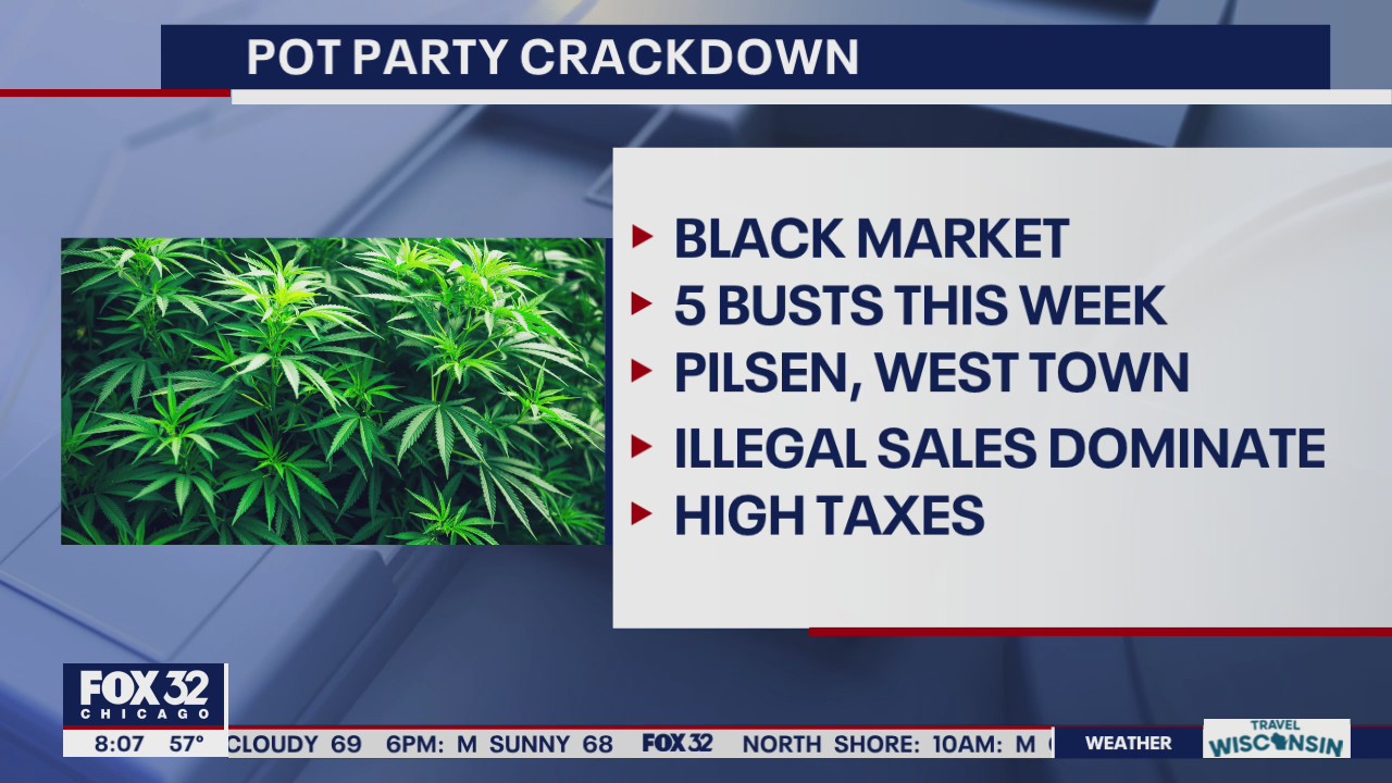 Chicago police seize kilo of weed, magic mushrooms from underground pot parties