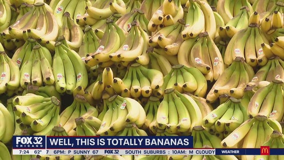 Jewel-Osco, Fresh?Del?Monte attempt to break world record for largest fruit display