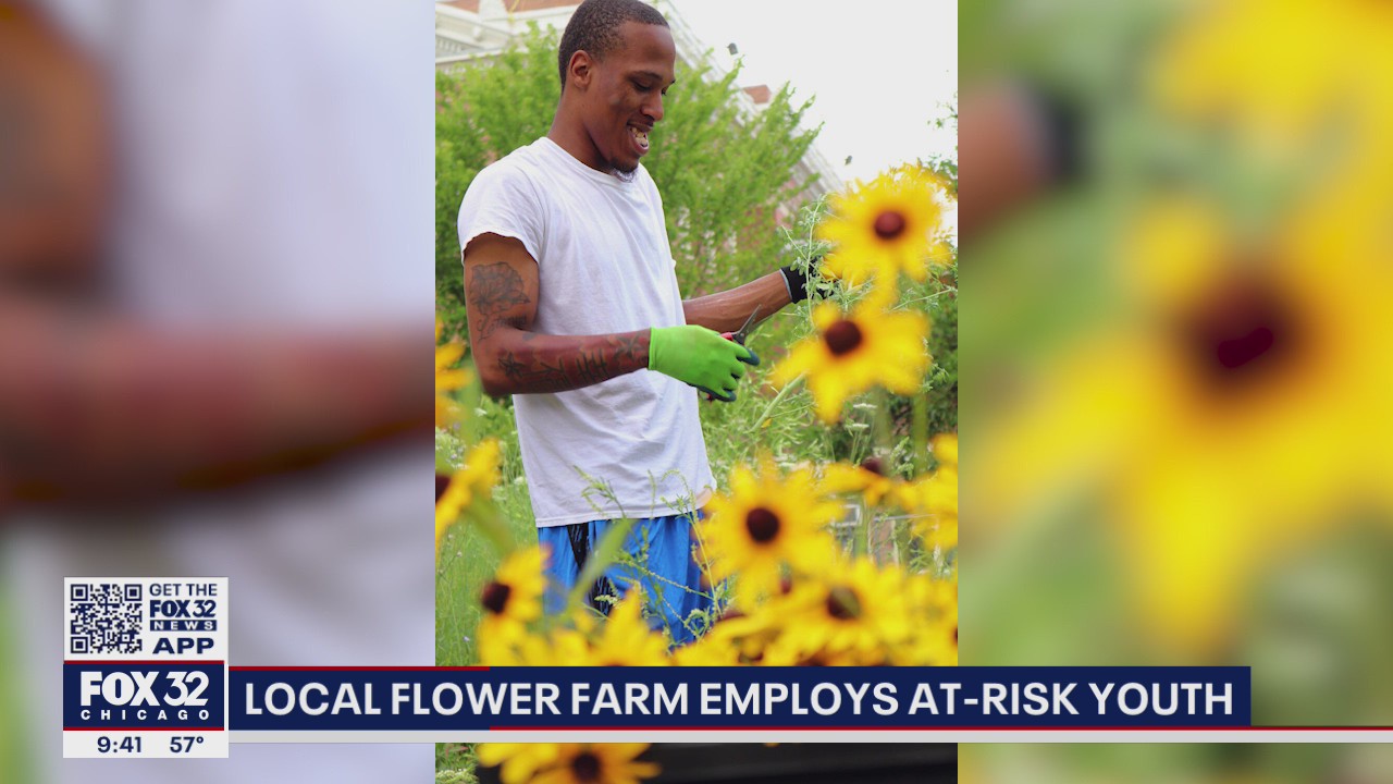 South Side Chicago flower farm employs at-risk youth