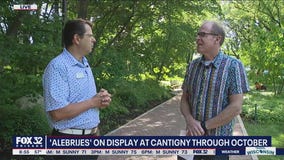 Tim on Location: Experience 'Alebrijes' at Cantigny