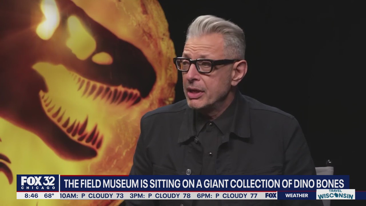 Chicago is home to one of the biggest dinosaur collections on the planet