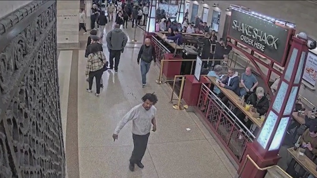 MTA seeks attacker of 9-year-old in Grand Central