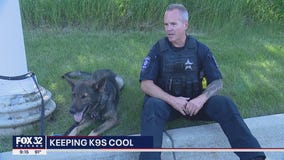 Aurora police use new tech to monitor K9s on hot days
