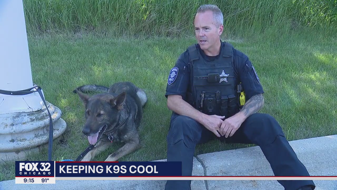 Aurora police use new tech to monitor K9s on hot days