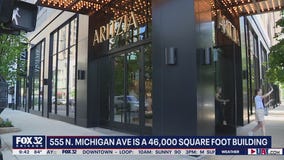 Aritzia to take over former Gap building on Chicago's Magnificent Mile