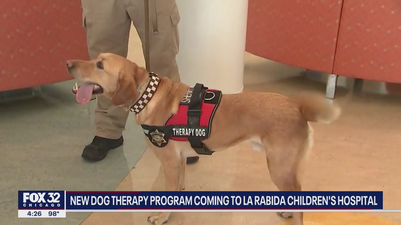 New dog therapy program coming to South Side Chicago children's hospital