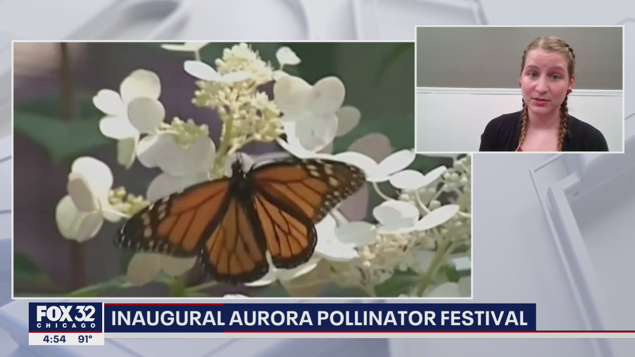 Aurora celebrates National Pollinator Week at Phillips Park Zoo