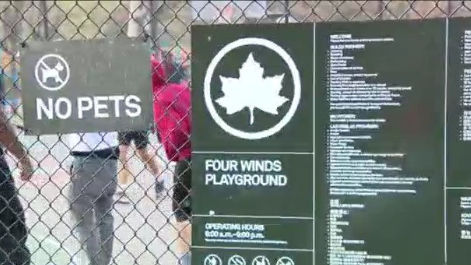 Vandals tear out hundreds of trees in Queens Park