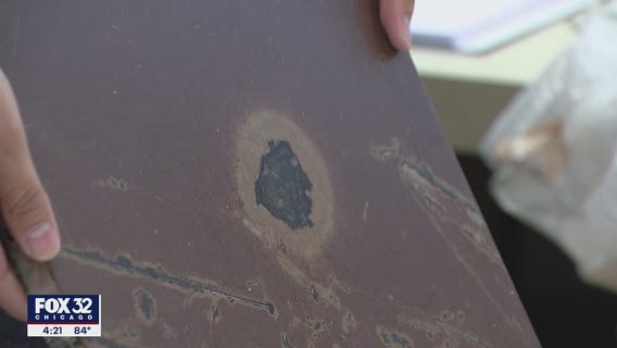 Fossils that are millions of years old arrive at Field Museum in Chicago