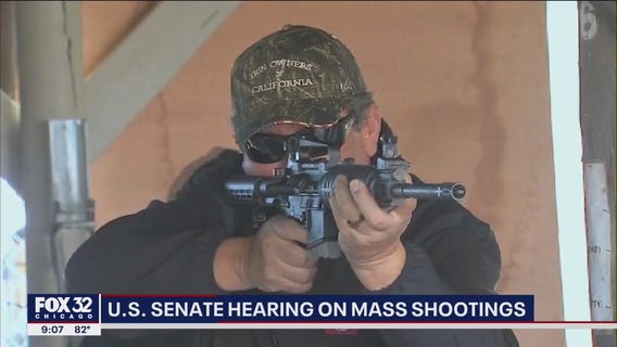Illinois lawmakers call for stricter gun laws during US Senate hearing