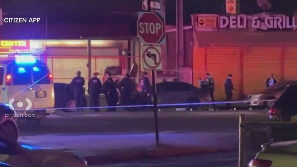 Queens fatal shooting