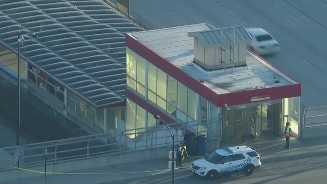 Person stabbed to death on CTA Red Line train