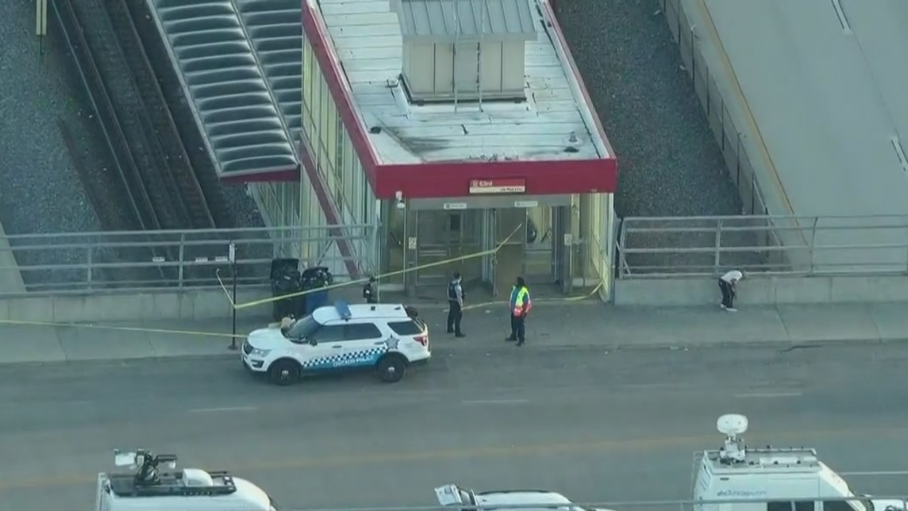 CTA rider stabs alleged teen attacker to death: police