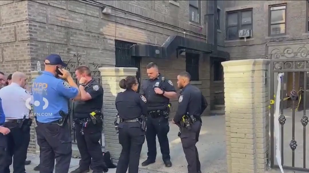 Bronx deadly stabbing