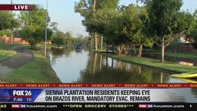 Update Sienna plantation