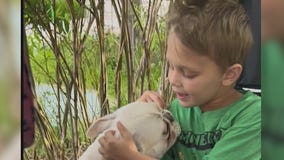 Cooper Roberts, boy paralyzed in Highland Park shooting, reunited with pet dog