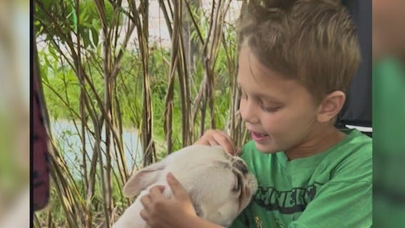 Cooper Roberts, boy paralyzed in Highland Park shooting, reunited with pet dog
