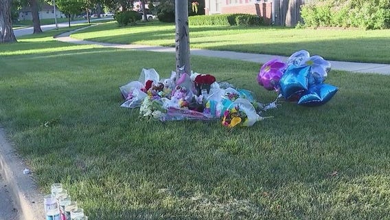 Rolling Meadows father dies after crash killed his family over the weekend