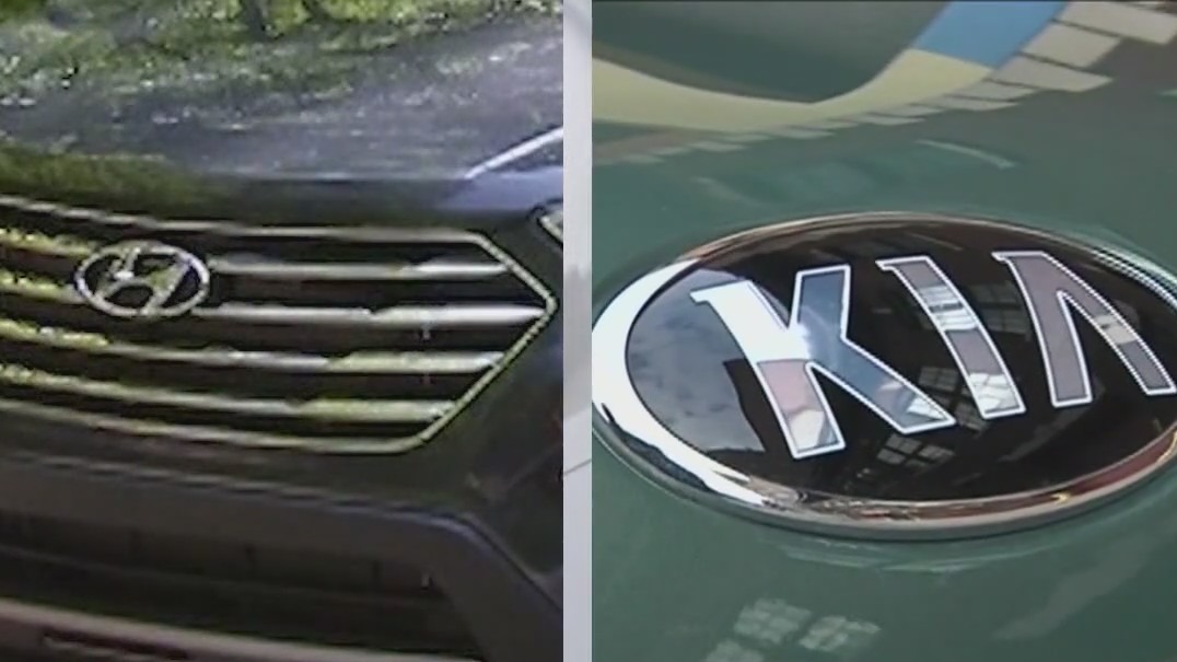 Lake County Police Department sees increase in Hyundai, Kia thefts