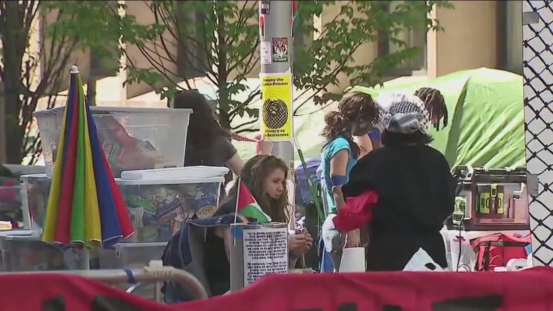 Pro-Palestinian protests continue