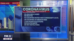 Illinois health officials report 25,084 new COVID cases, 56 deaths since last Friday