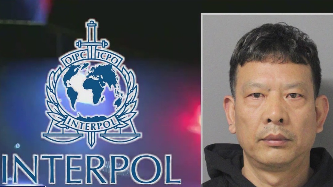 Alleged international jewel thief arrested in NYC