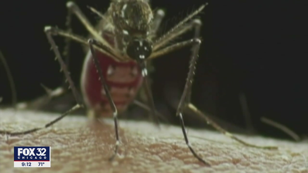 Illinois health officials report first human death of West Nile virus in 2022