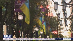 Ukrainian flags adorn downtown Chicago in celebration of their Independence Day