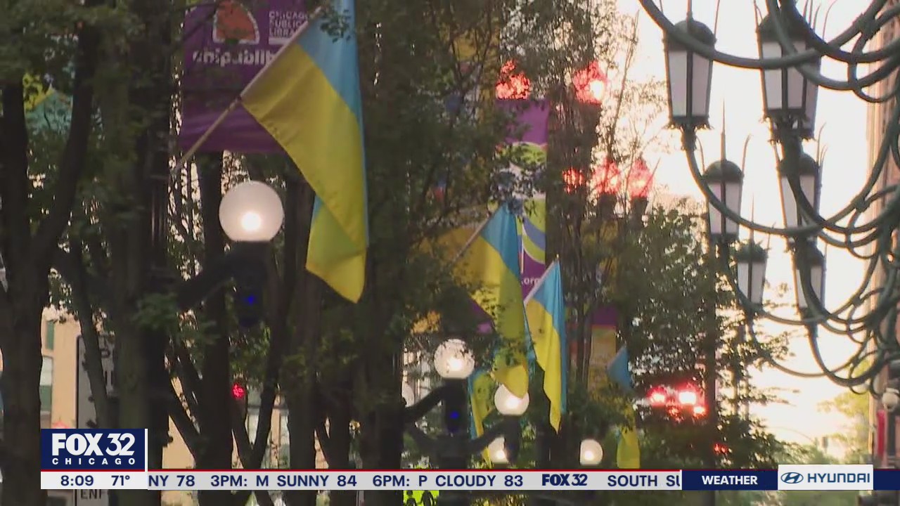 Ukrainian flags adorn downtown Chicago in celebration of their Independence Day