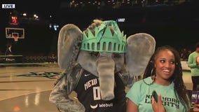 Ellie the Elephant shows off her moves