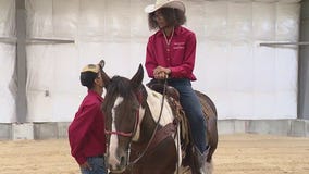 Horses donated to Far South Side high school