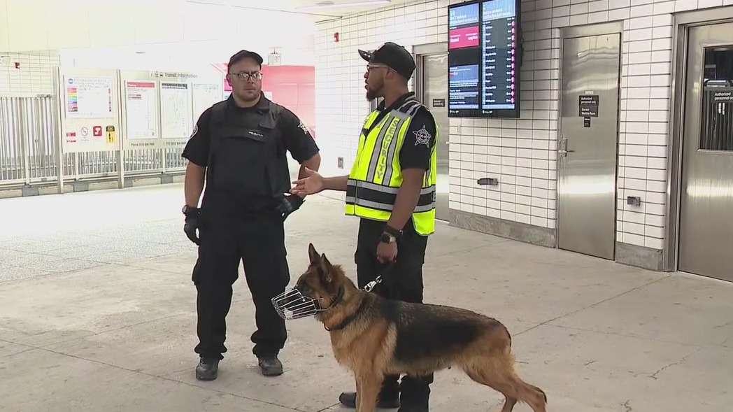 CTA deploys new K9 teams at train stations