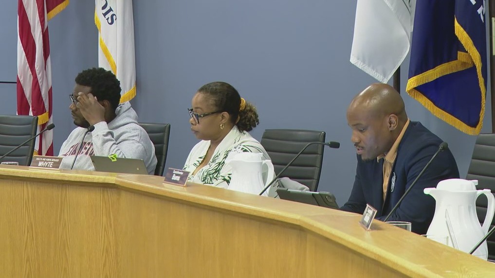 Evanston considers topless beach proposal