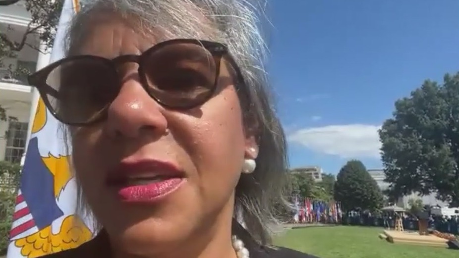 Illinois Dems respond to plan for nationwide abortion ban: 'Barking up the wrong tree'