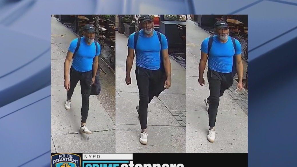 Suspect IDed in Steve Buscemi assault