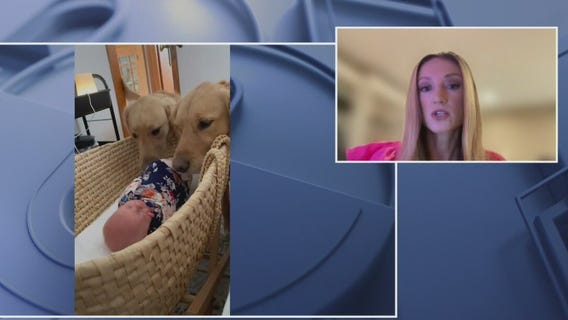 New book helps soon-to-be parents prepare pets for baby