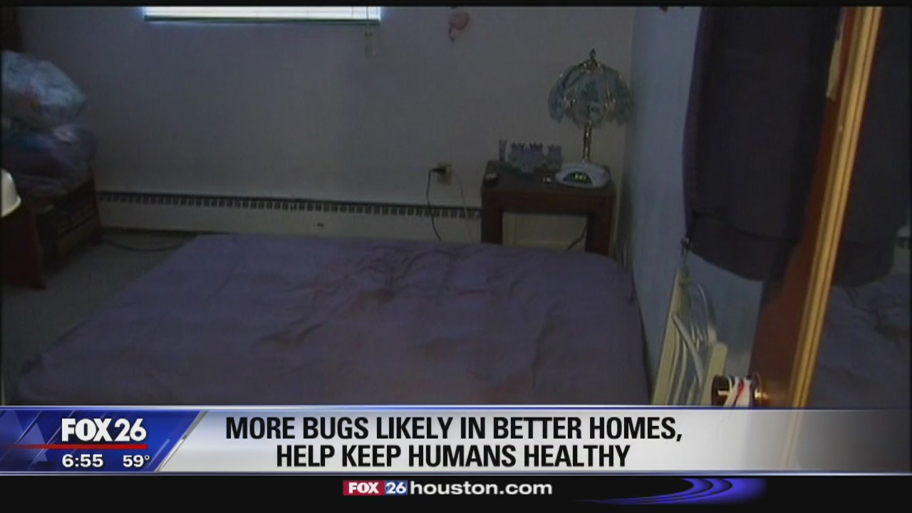 More bugs likely in nicer homes, help keep humans healthy