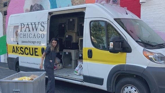 PAWS Chicago headed to Florida to bring homeless pets to Windy City