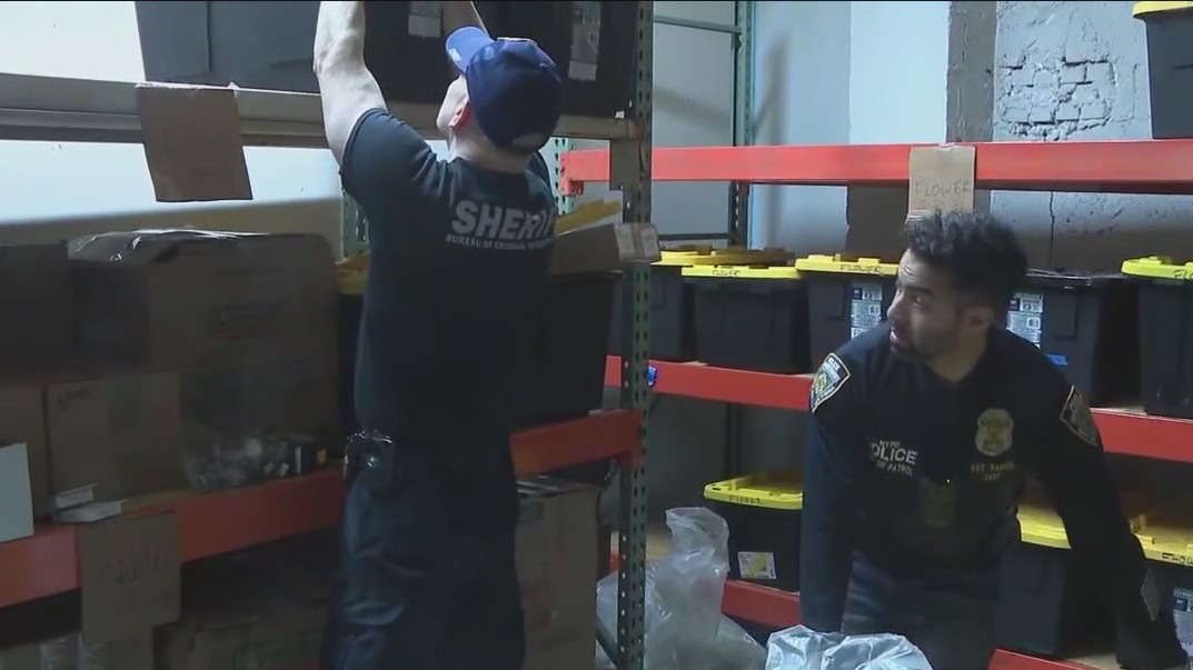 Illegal cannabis bust in Brooklyn