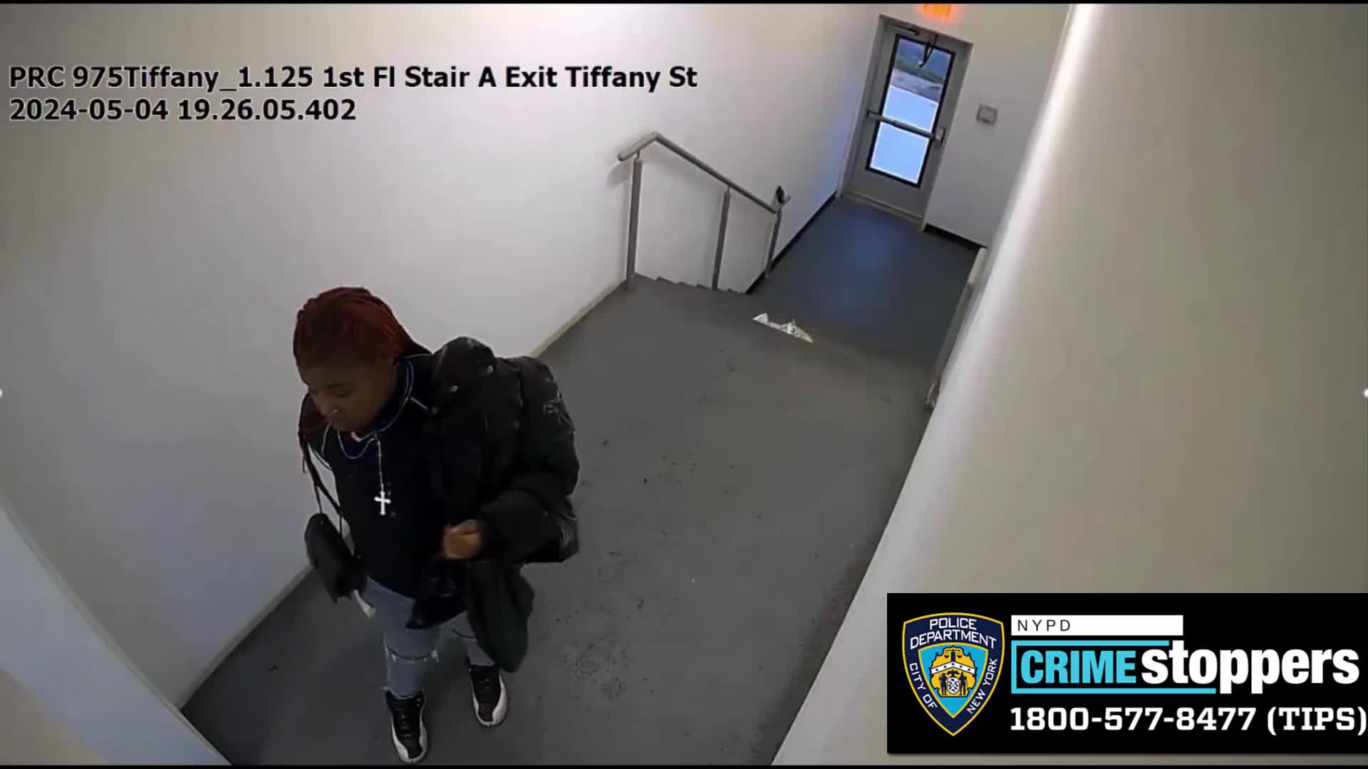 Dog named 'Milkshake' stolen from Bronx apartment