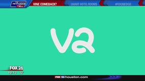 The Future Is Now - return of Vine