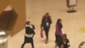 10 arrested in recent suburban shopping mall robberies