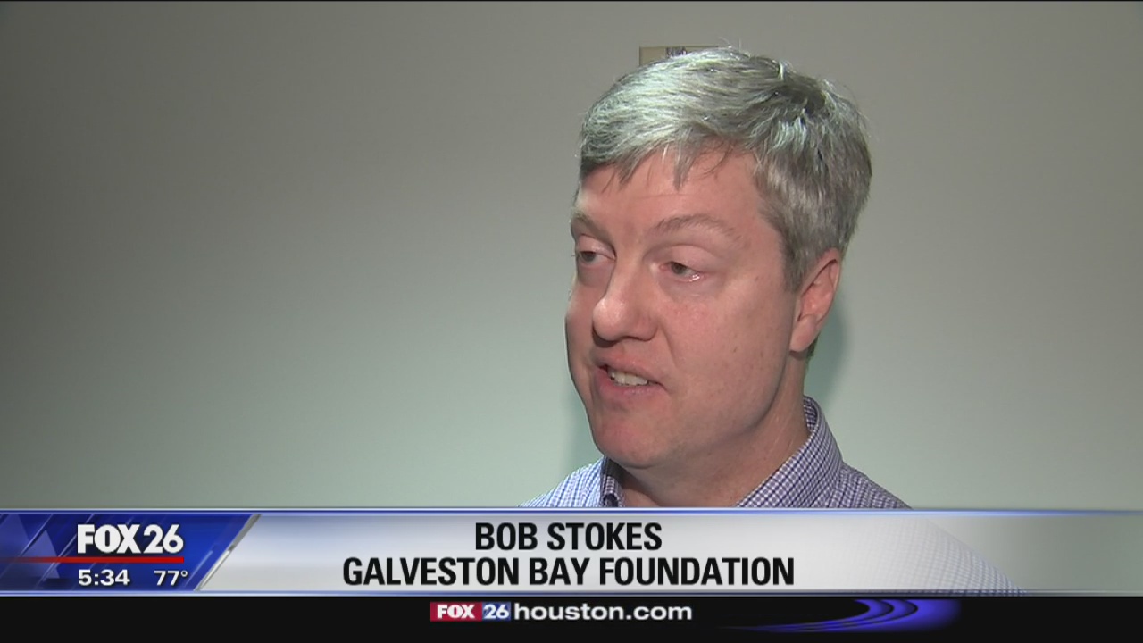 Proposed Dioxin pit cleanup draws criticism