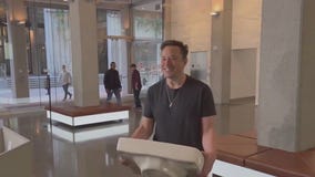 Elon Musk's first week at Twitter --- what to know